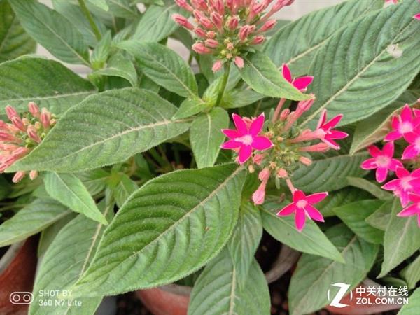 360 N7 Lite֣ǧԪ660ˮͰ