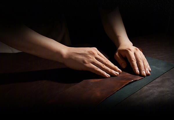 ������Ȼ����֮������ΪP20ϵ��ȫ�½���ɫһ���ֲ�