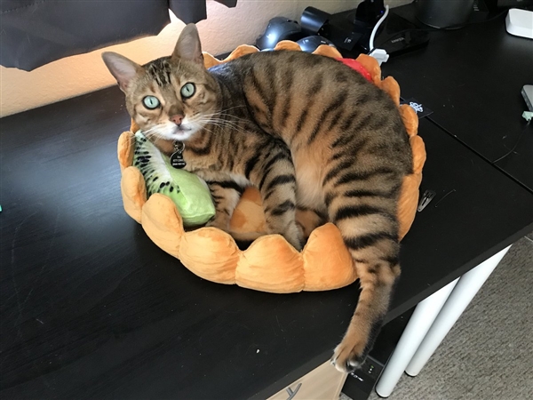 ���᣺�������������