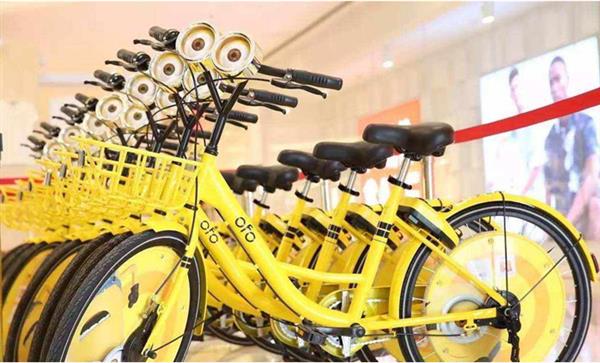 �ӵǶ���̳������͹ȣ�ofo�����ĳɹ��Ƿ���꼻�һ�֣�