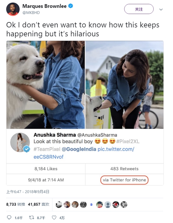 �ȸ�ӡ����Ů����������iPhone����Pixel 2 XL����������