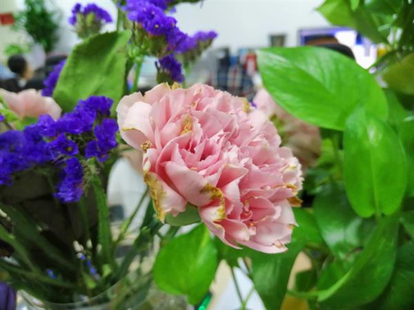 荣耀8X上手:越级体验 性价比超高