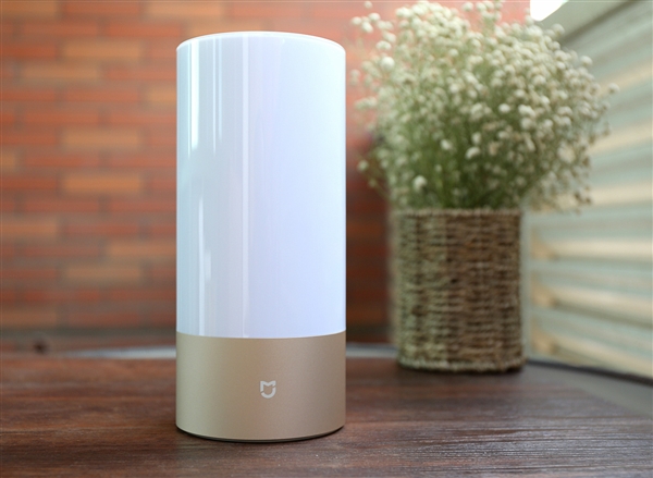 �Ѵ�ѧ�����ɼң���˾������ѡ������С�ҵ�