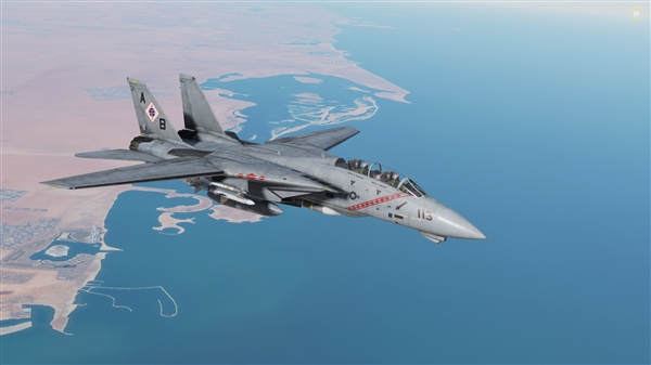 F-14èDCS World