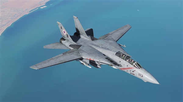 F-14èDCS World