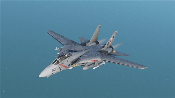 F-14èDCS World