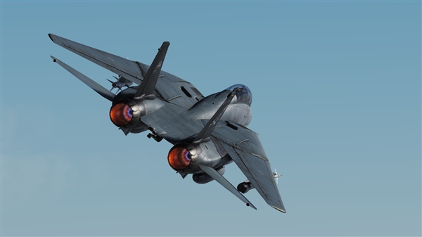 F-14èDCS World