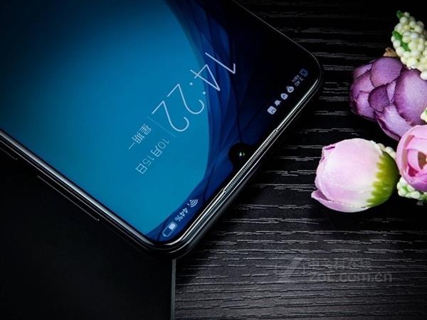 710ӳ vivo Z310ϸǮĳ嶯