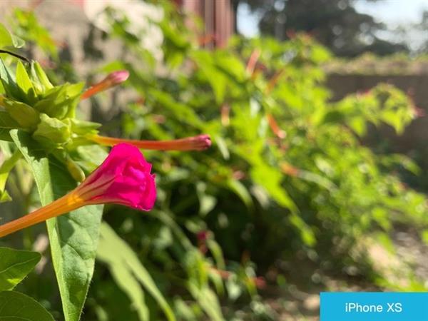 Mate20 ProԱiPhone XSΪƾ⼸