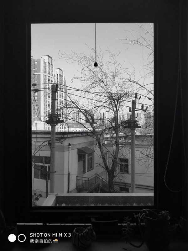 MIUI398ܸ£СMIX 3Զˮӡ