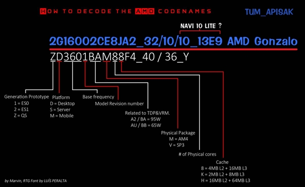 AMDϷGonzaloع⣺Zen2 CPUNavi GPU