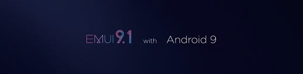 ΪP30ϵ׷EMUI 9.1DNAŻ 