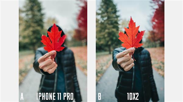 ֻ͵ĽiPhone 11 Pro VS 1DX Mark II