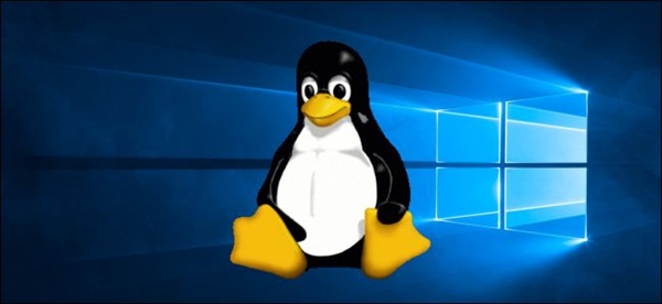 LinuxûʱըʽWin10ͬڳ»