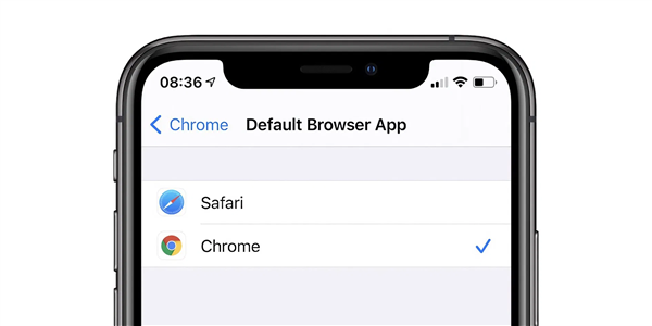 iOS 14 Bug豸ĬԶΪSafari