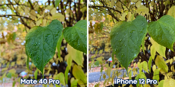 ˭ǿΪMate40 ProնԱiPhone 12 Pro