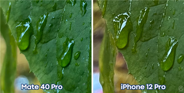 ˭ǿΪMate40 ProնԱiPhone 12 Pro