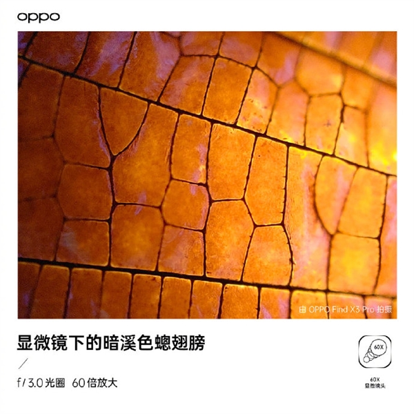 OPPO Find X3ϵд60Ŵ΢