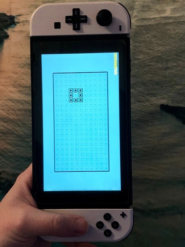 䣡SwitchɹֲŵǾϷ̰ߡ