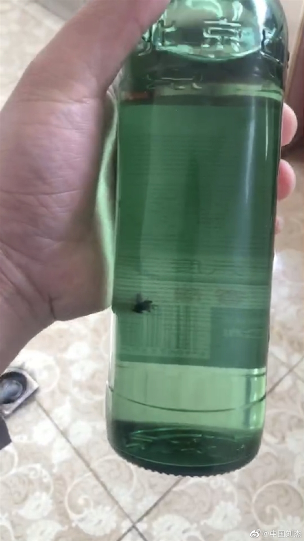 ǶͷӦݲӬΪðαӲƷ عƵǸ