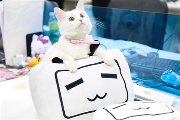 BվС̱걻 ֪ʶȨָ άԭ