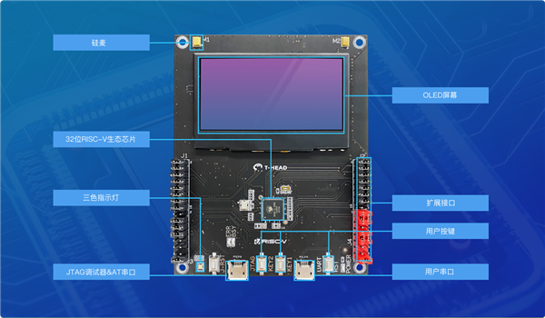 ƽͷ緢RISC-V뷢910906