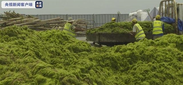 ɽ���ൺ������ģ�̦��Ϯ �������ɫ���ˣ��ֺ�������8����Ѯ