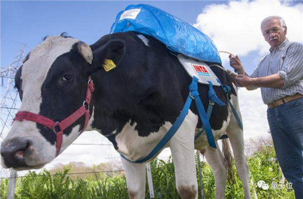 ��С��Ŀյ���һ���ܵ�����վ ��ţ��ƨȷʵ���Է���