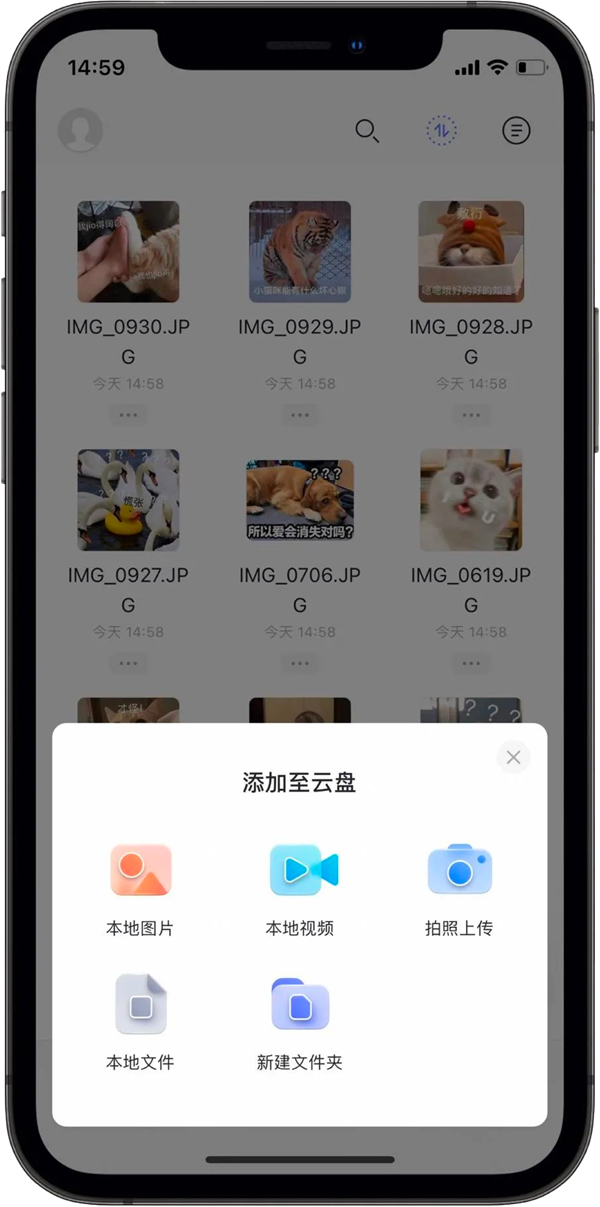 ������� ���ְ����������ǲ�������������