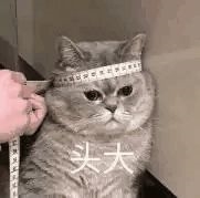 ����iPhone 13 ������ô��ʮ���㡱��