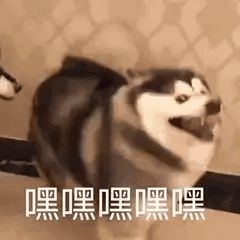 ����iPhone 13 ������ô��ʮ���㡱��