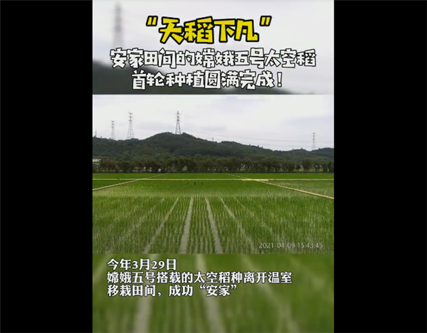 �϶���š�̫�յ���ӭ���ոÿ������Լ1���׳� �й�ԭ��ˮ����Ʒ��