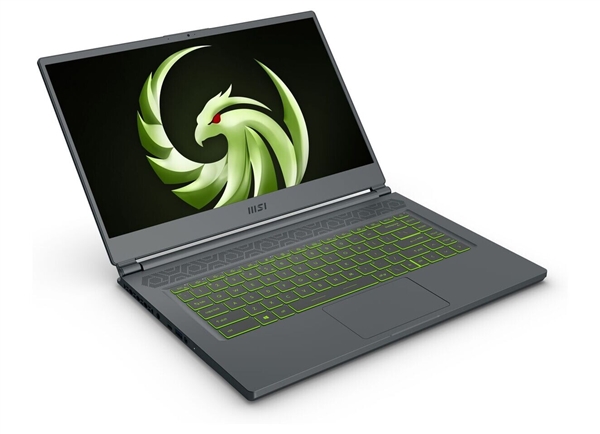 ΢����������������Ϸ����RX 6000M�Կ��������ᱡ