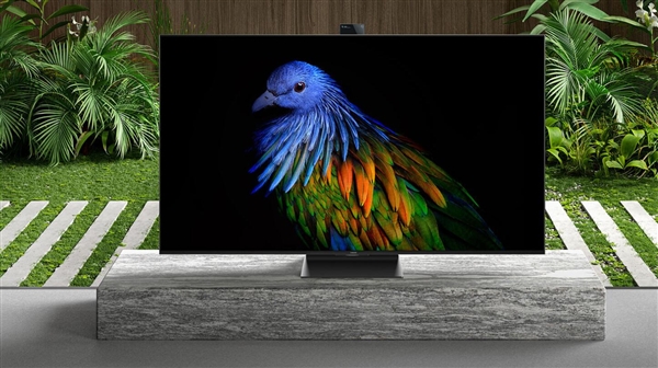 ��Ԫ�����컨�壡�˾��ã�С�׵���6������ƷֻҪһ��۸�