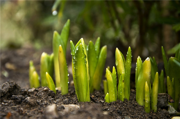 ��������310����ʳ ��֪����١���Ҫ���һ��ʮ ��Ժ������