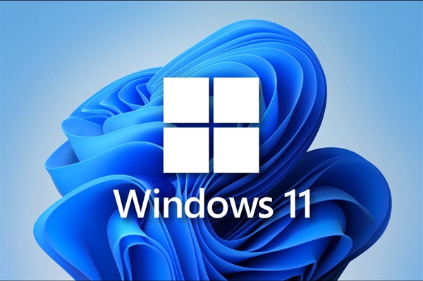 Win 11 ΢ӦΪƿͻ