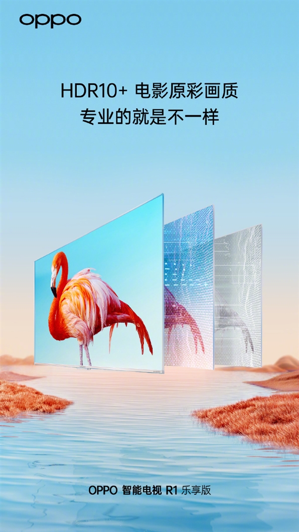 OPPOܵR1췢ϵ ֻһͶ