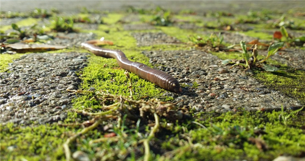 ����Ů�������Գ���� �귽��˵���߲��޹���