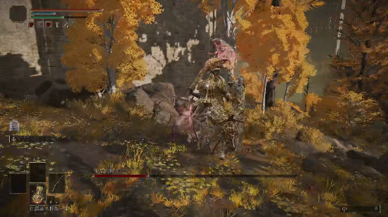 《艾尔登法环》玩家5帧击杀龙装大树守卫 疑似虐待高龄显卡