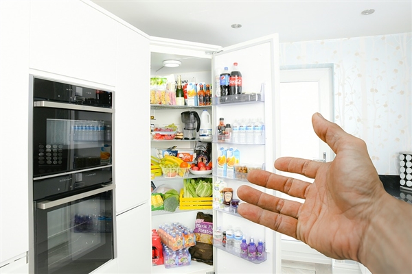 冰柜4月搜索热度超过双11 网友：囤菜刚需
