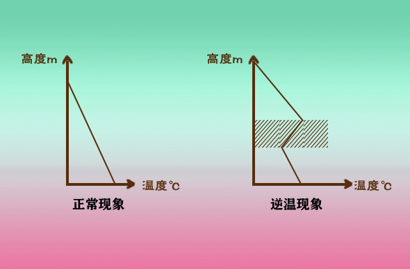 手机上网很慢？可能是被40℃的高温热坏了