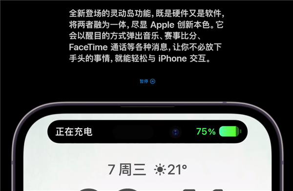 碰到灵动岛的这些Bug后 我越来越期待它的新玩法了