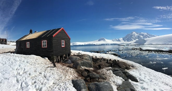 月薪16000！南极邮局招人“数企鹅”：录用难度堪比考公