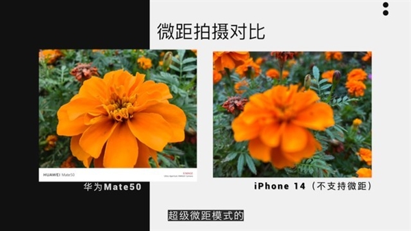 iPhone 14对比华为Mate50：谁才是模范标准版？
