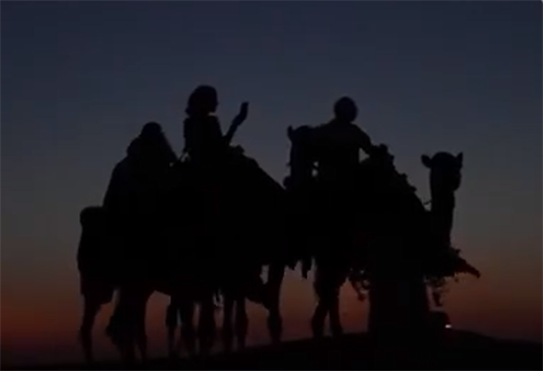 世界杯带火卡塔尔旅游业 超百万游客涌入：骆驼也得“加班”