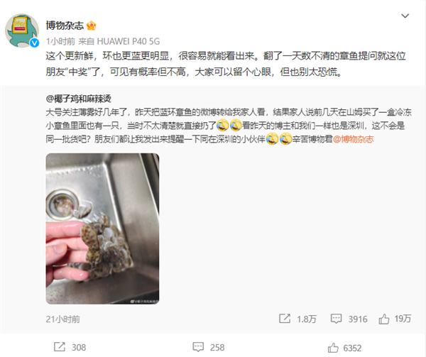 山姆回应蓝环章鱼事件：供应商选品加工环节均不存在该章鱼