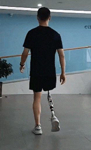 蘑菇都被拿来做电脑了！就不怕电脑真的“死机”吗？