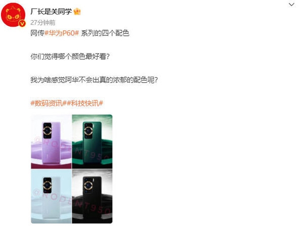 华为P60系列四个全新配色曝光！这颜值还不得卖爆