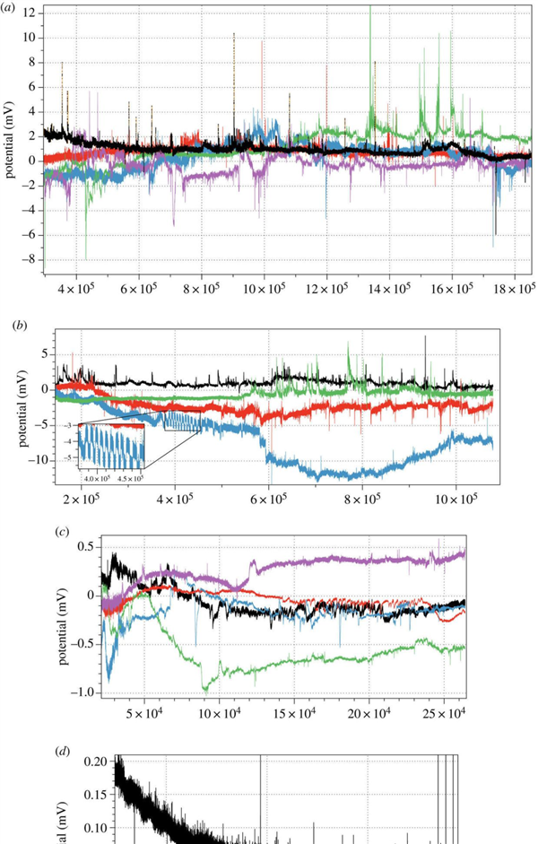 蘑菇都被拿来做电脑了！就不怕电脑真的“死机”吗？