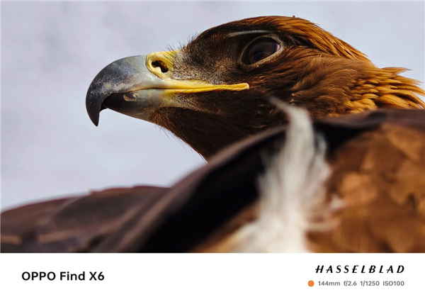 天玑9200加持：OPPO Find X6三旗舰主摄效果绝了！